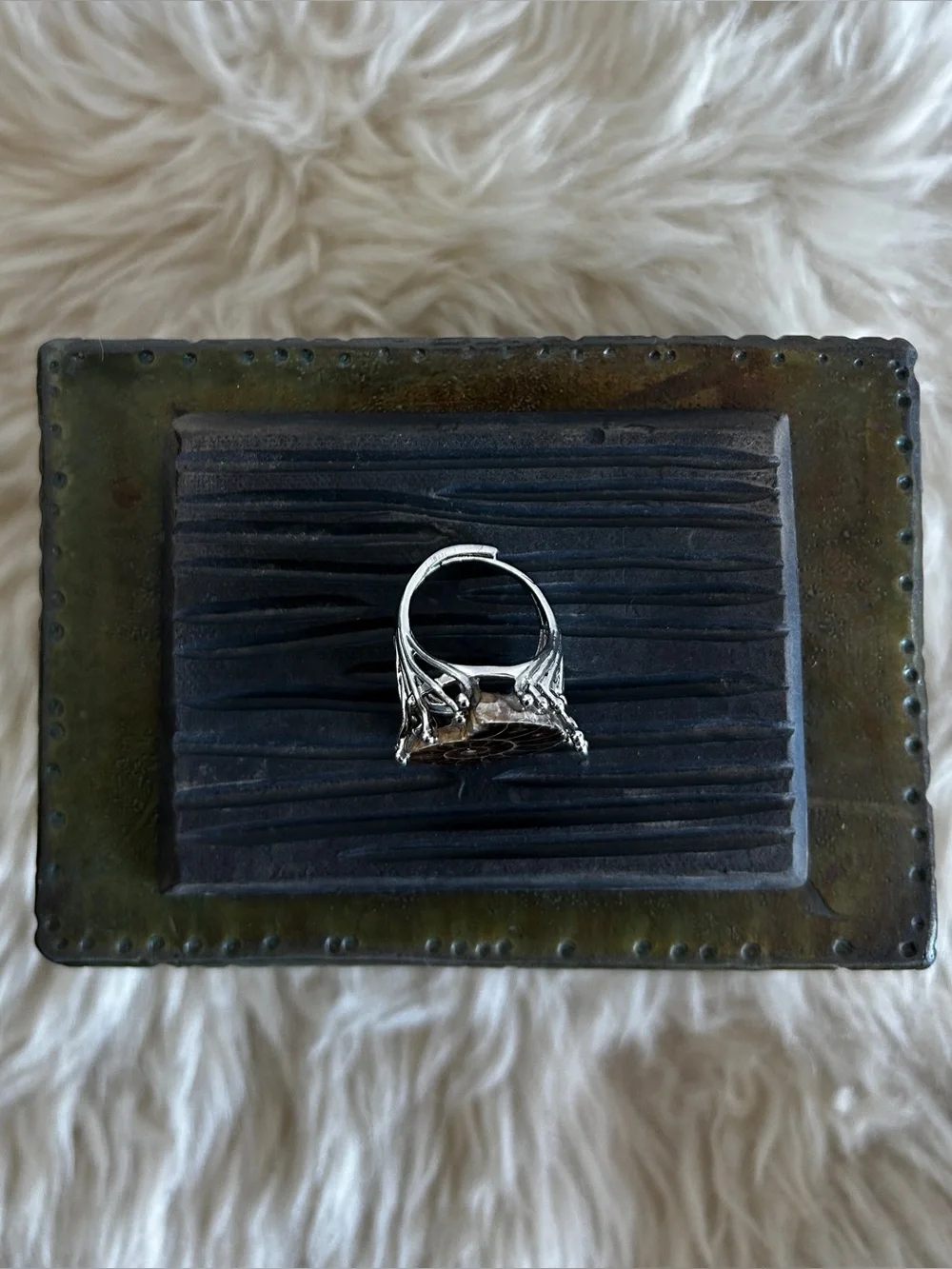 Handcrafted Brown Ammonite Shell Ring in Silver Setting